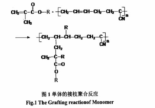 單體的接枝聚合反應(yīng)